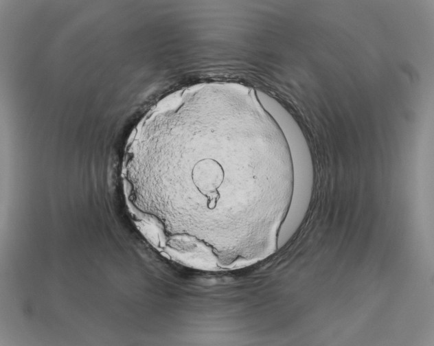 X0000112890712200910021414