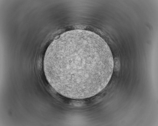 X0000112890713200910021414