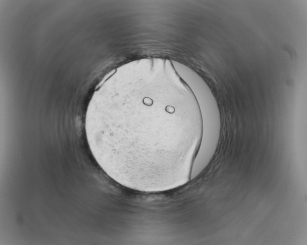 X0000112890716200910021414