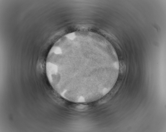 X0000112890718200910021414