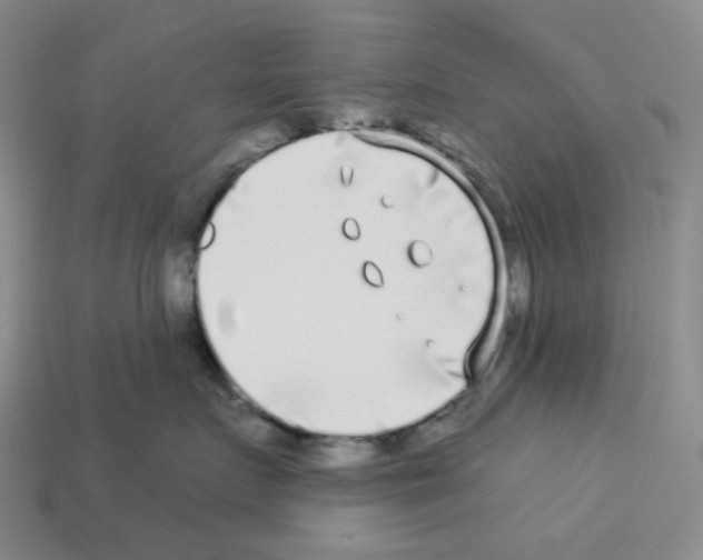 X0000112890719200910021414