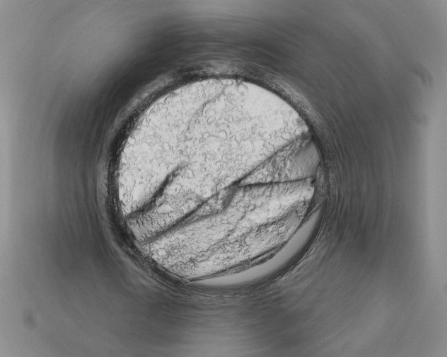 X0000112890722200910021414