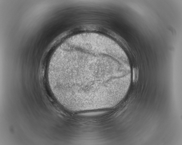 X0000112890723200910021414