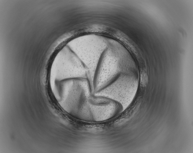 X0000112890724200910021414