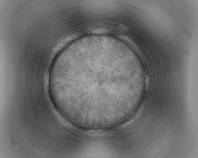 X0000112890725200910021414