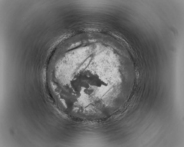 X0000112890729200910021414