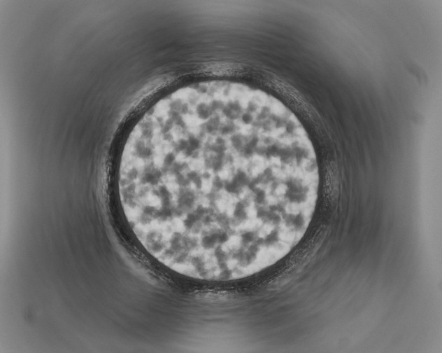 X0000112890730200910021414