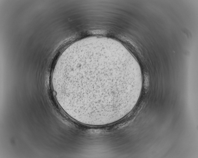 X0000112890733200910021414