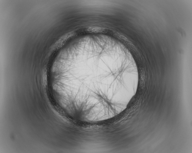 X0000112890734200910021414