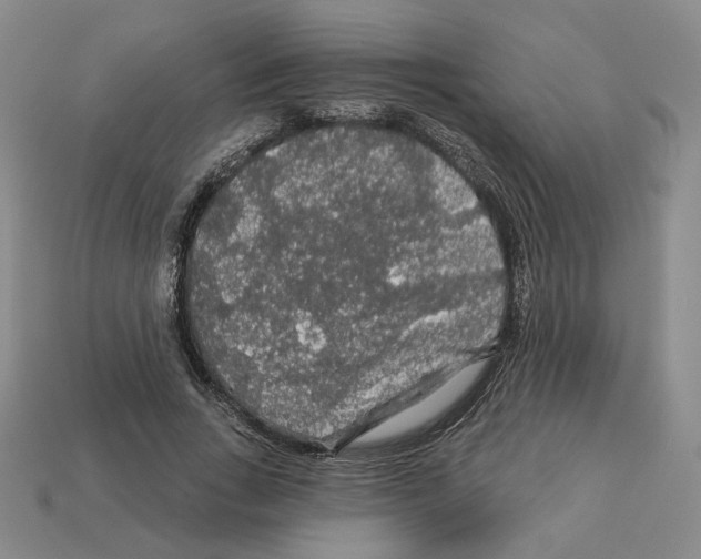 X0000112890735200910021414