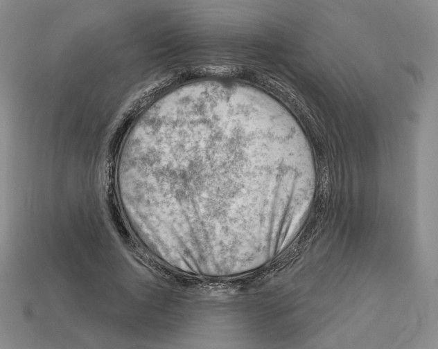X0000112890736200910021414