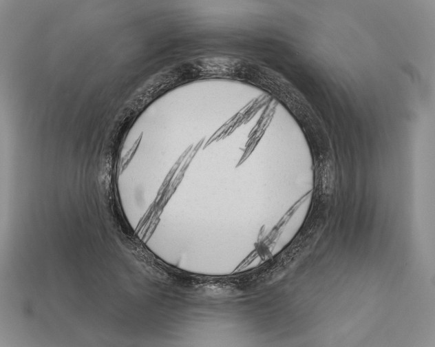 X0000112890737200910021414