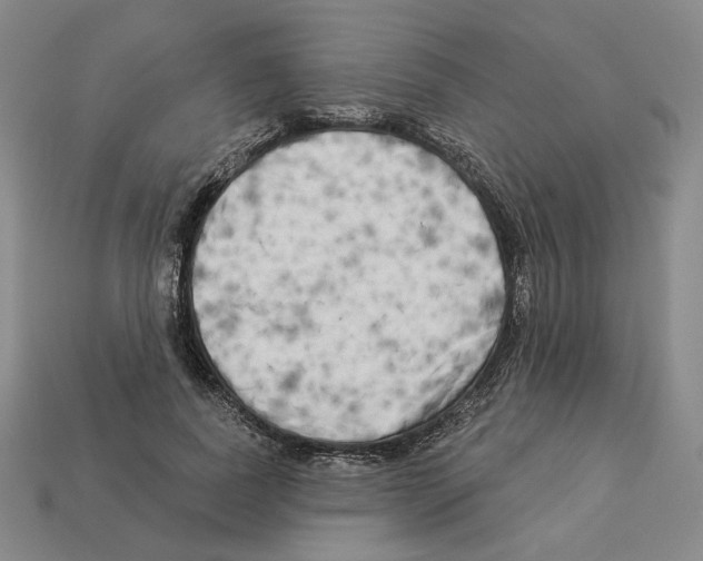 X0000112890739200910021414