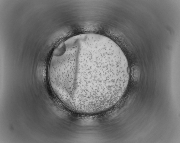 X0000112890740200910021414