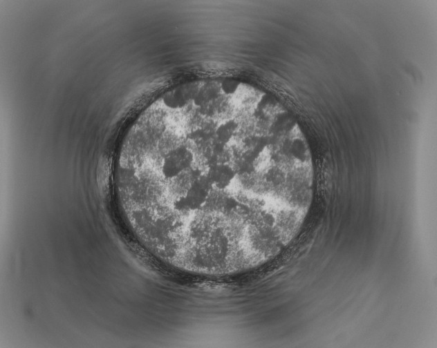 X0000112890742200910021414