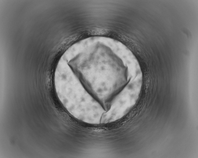 X0000112890743200910021414