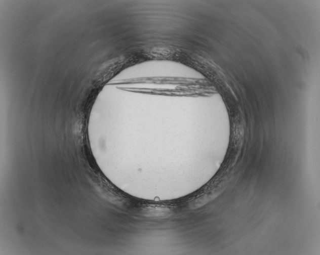 X0000112890749200910021414