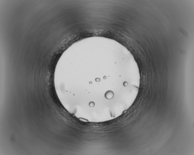 X0000112890750200910021414