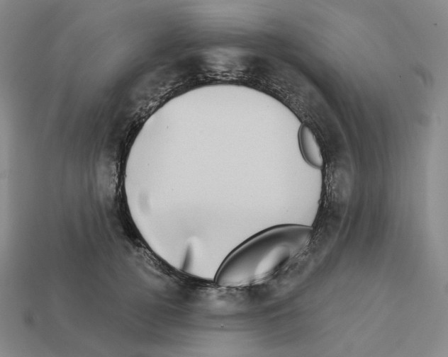 X0000112890752200910021414
