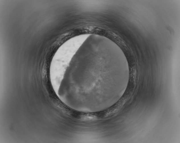 X0000112890754200910021414