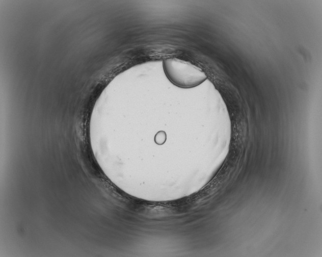 X0000112890755200910021414