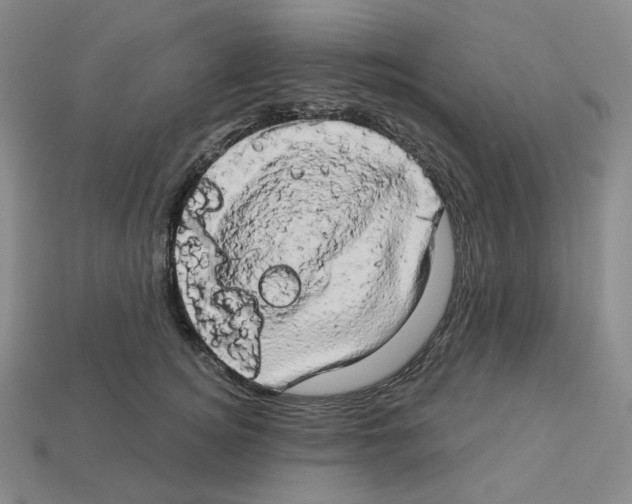 X0000112890756200910021414