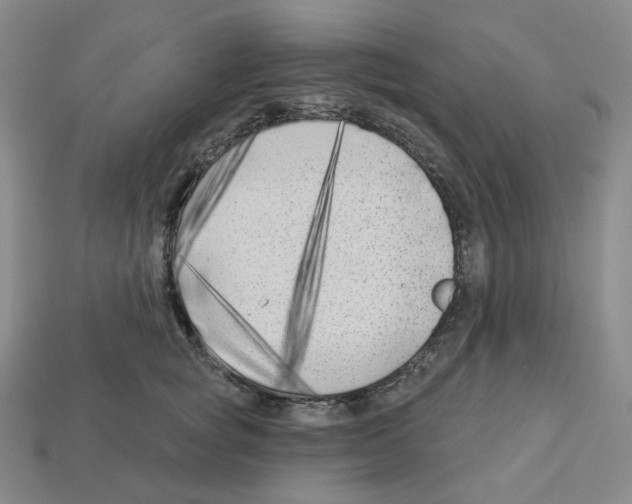 X0000112890757200910021414