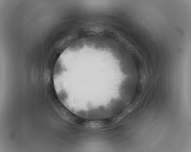 X0000112890758200910021414