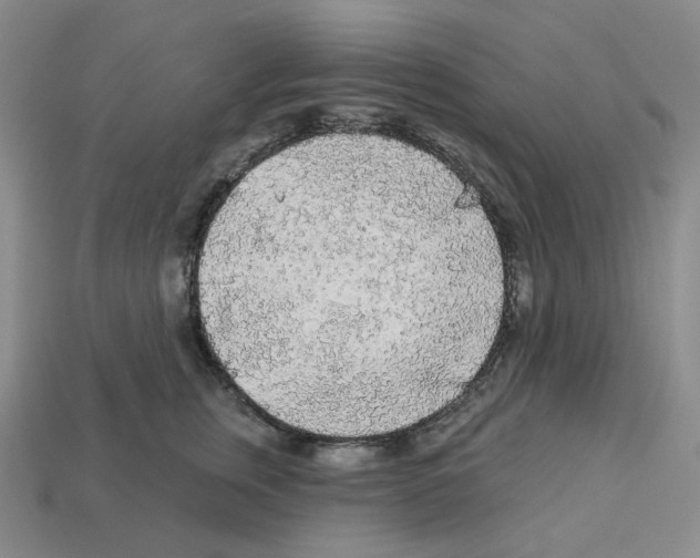 X0000112890759200910021414