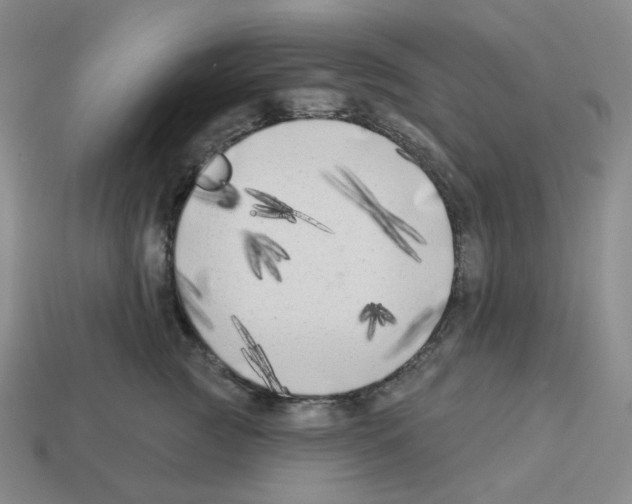X0000112890761200910021414