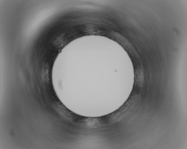 X0000112890762200910021414