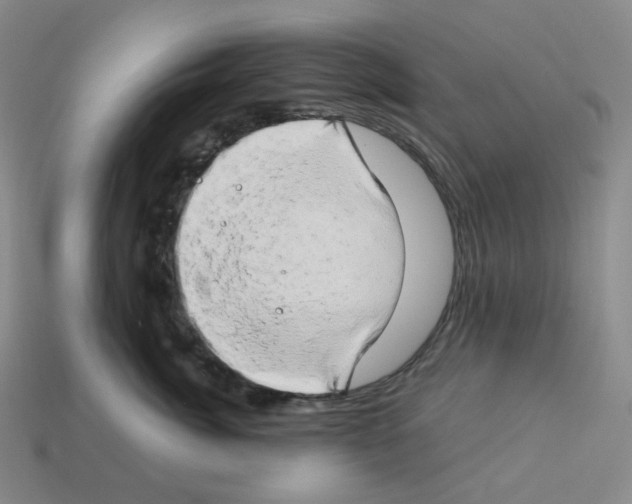 X0000112890764200910021414