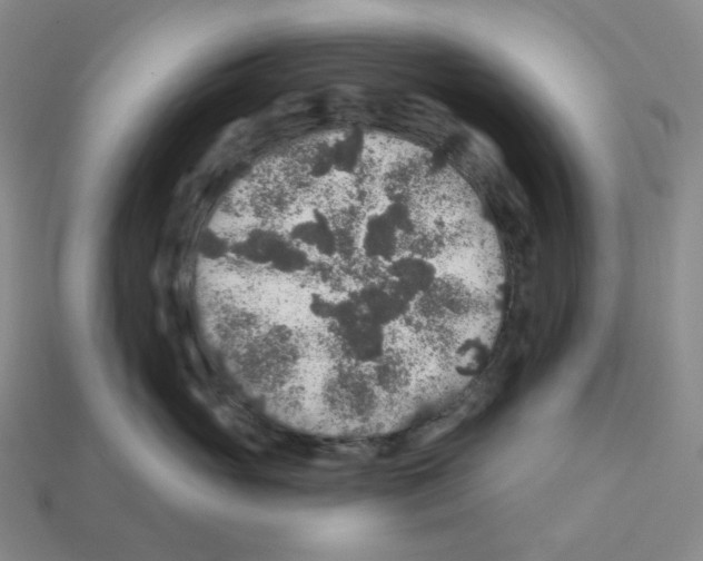 X0000112890765200910021414