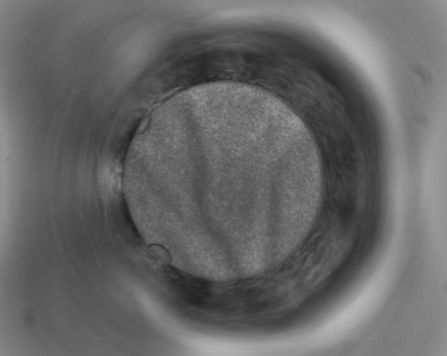 X0000112890766200910021414