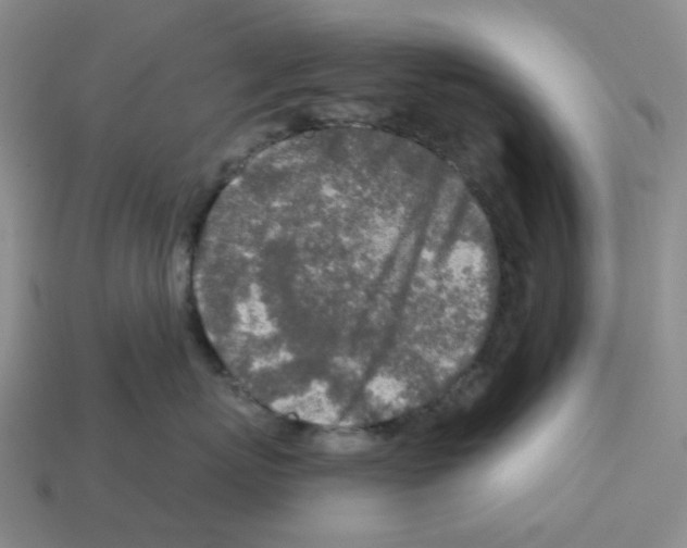 X0000112890767200910021414