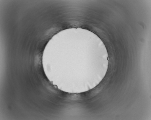 X0000112890768200910021414