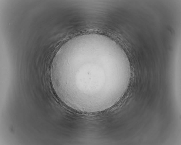 X0000112890769200910021414