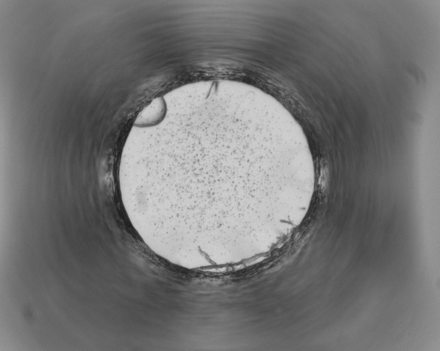 X0000112890771200910021414