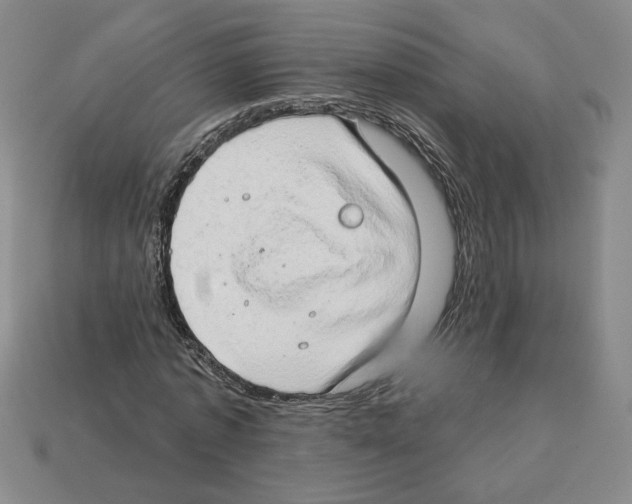 X0000112890773200910021414
