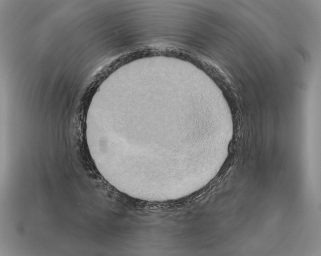 X0000112890776200910021414