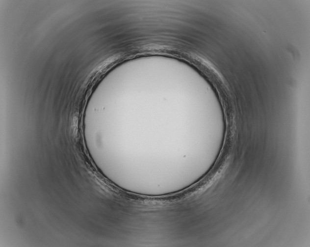 X0000112890777200910021414