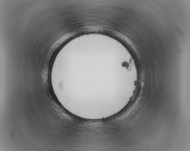 X0000112890778200910021414
