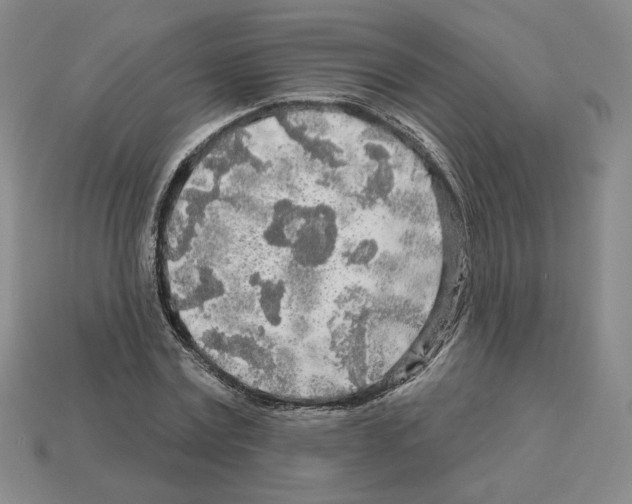 X0000112890779200910021413