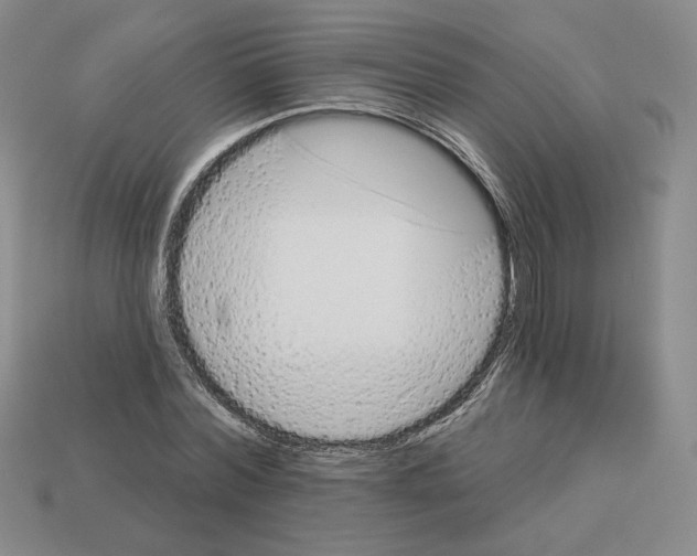 X0000112890780200910021413