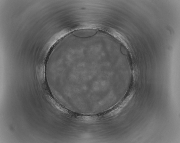 X0000112890781200910021413