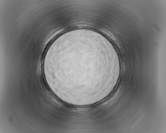 X0000112890782200910021413