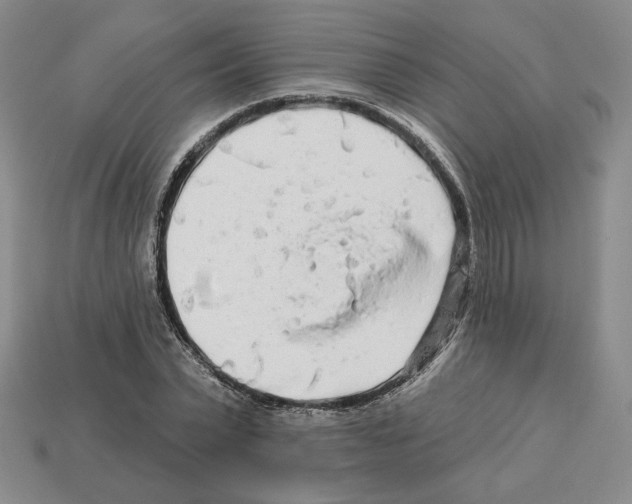 X0000112890783200910021413