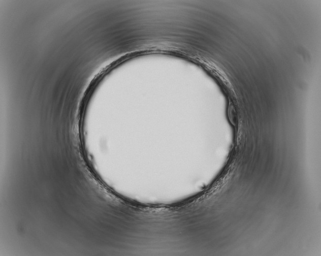 X0000112890784200910021413