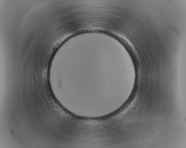 X0000112890785200910021413