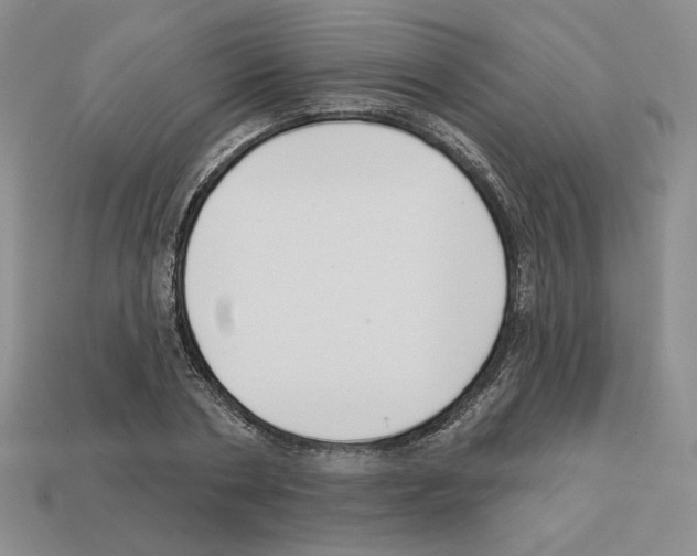 X0000112890786200910021413